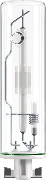Glass tube with internal components on a white background - NZ LIGHTS