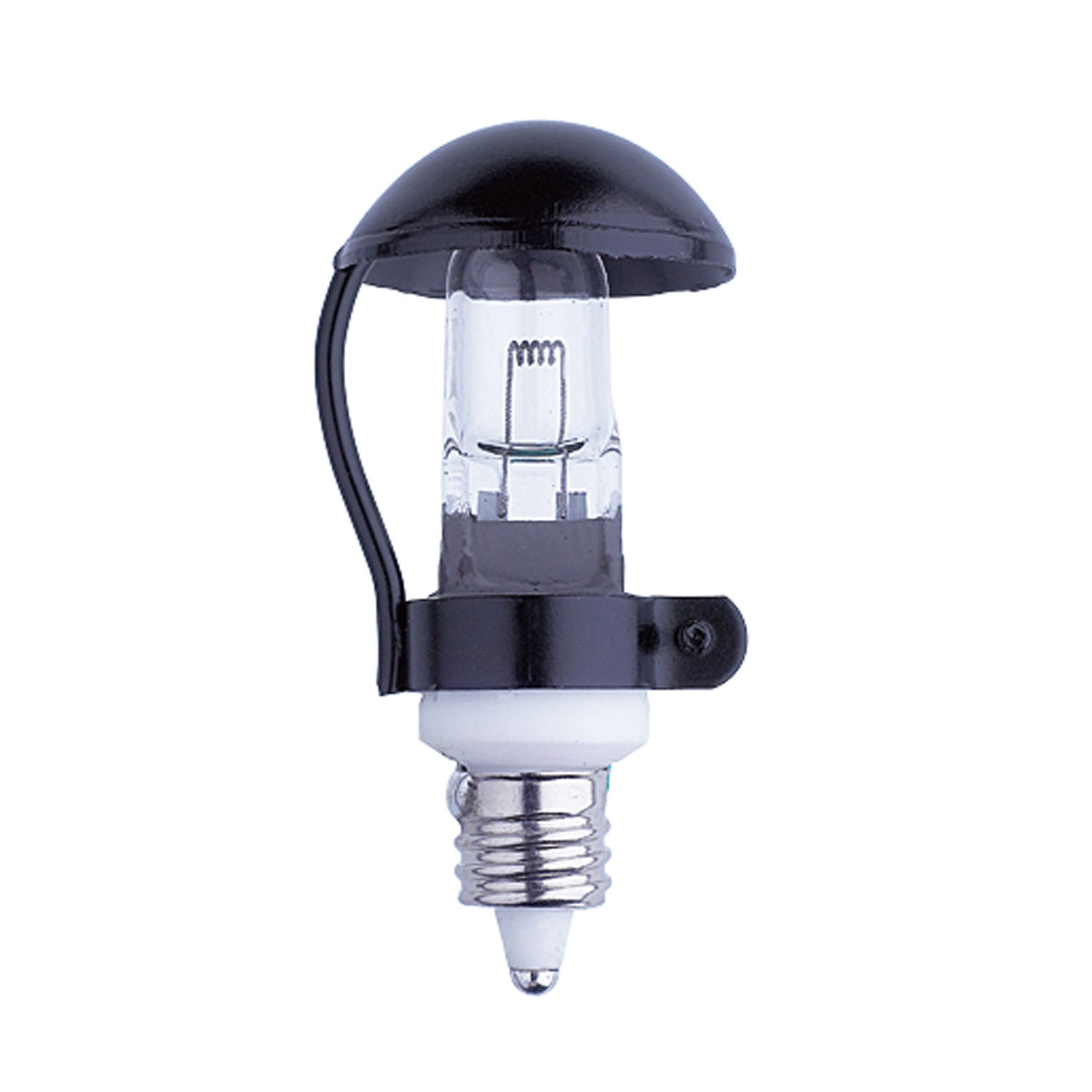NZ Lightbulbs