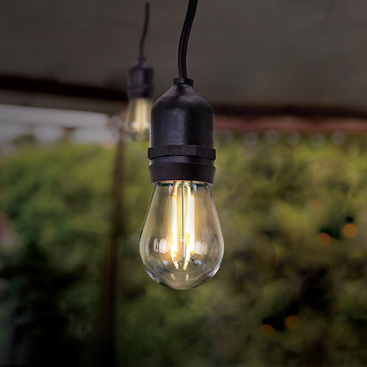 NZ Lightbulbs