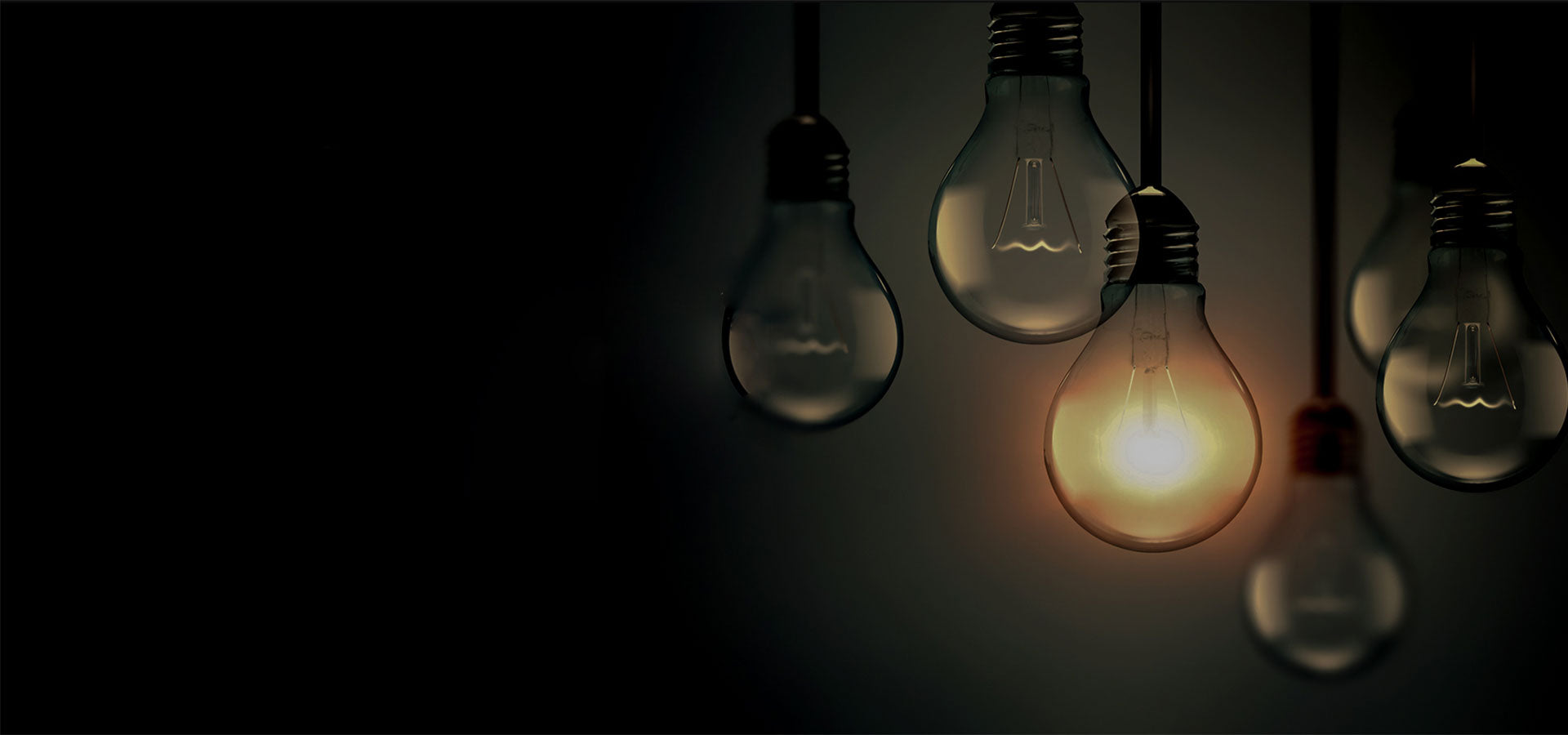 NZ Lightbulbs