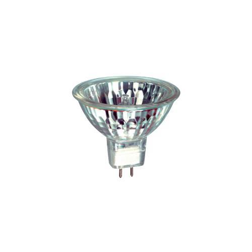 NZ Lightbulbs