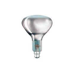 NZ Lightbulbs