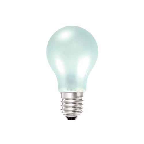 NZ Lightbulbs