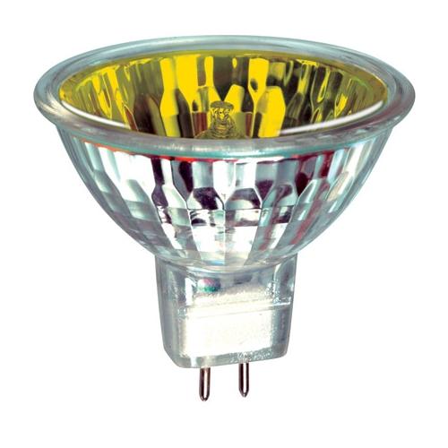 NZ Lightbulbs