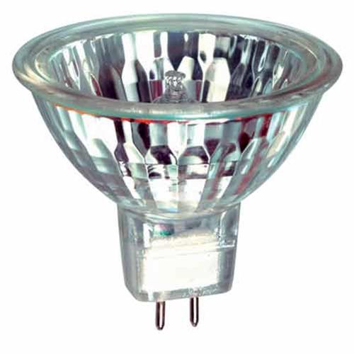 NZ Lightbulbs