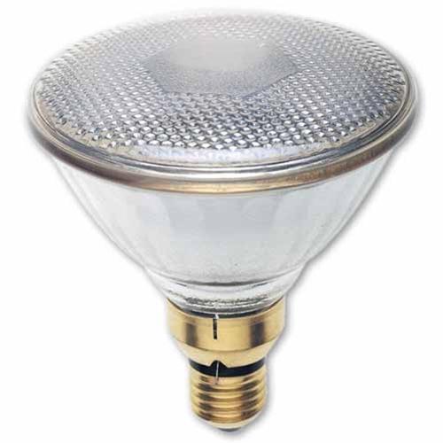 NZ Lightbulbs